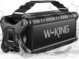 Wking D8 Bluetooth Speaker (Renewed)