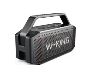 Wking  Speaker D9