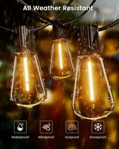 81I16d83uTL._AC_SL1500_